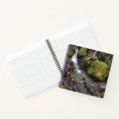 De waterval van de Fae.... Notitieboek (Binnen)