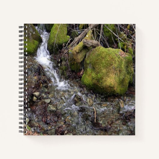 De waterval van de Fae.... Notitieboek (Voorkant)