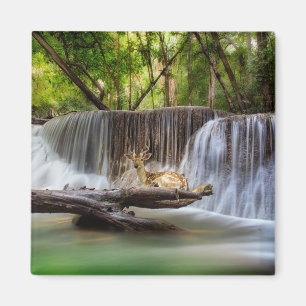 De Waterval van de Gom met het Deer Relaxing Magneet