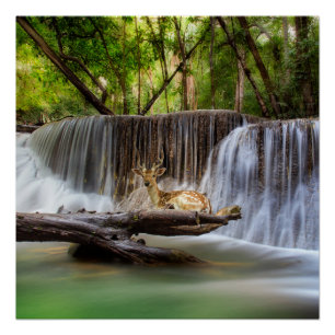De Waterval van de Gom met het Deer Relaxing Perfect Poster
