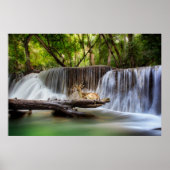De Waterval van de Gom met het Deer Relaxing Poster (Voorkant)