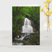 De Waterval van de lente Kaart (Gele Bloem)