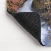 De waterval van Ryuzu in Nikko Japan Muismat (Hoek)