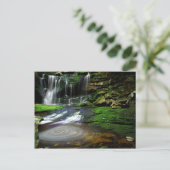 De Watervallen die van Elakala de Bemoste Rotsen Briefkaart (Staand voorkant)