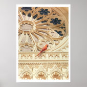De Waterverf van de Kardinale Kerk en de Vogel Poster (Voorkant)