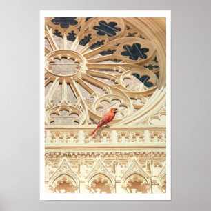 De Waterverf van de Kardinale Kerk en de Vogel Poster