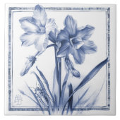 De Waterverf van de nieuwe kunstvorm van het Muur  Tegeltje (Voorkant)