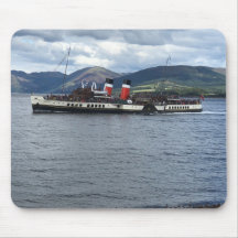 De Waverley Paddle Steamer in Schotland