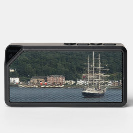 De Waverley Paddle Stoomboot en Tall Ship