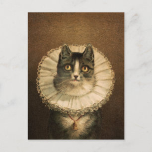 De weduwe (1861–1897), vintage kat portret  briefkaart