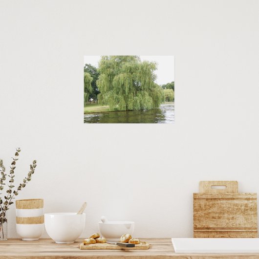 De weepende wilg poster (Keuken)