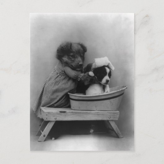 De weg briefkaart (Voorkant)