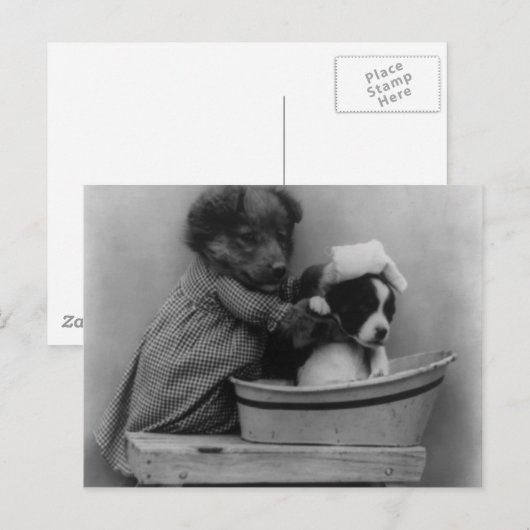 De weg briefkaart (Voorkant / Achterkant)