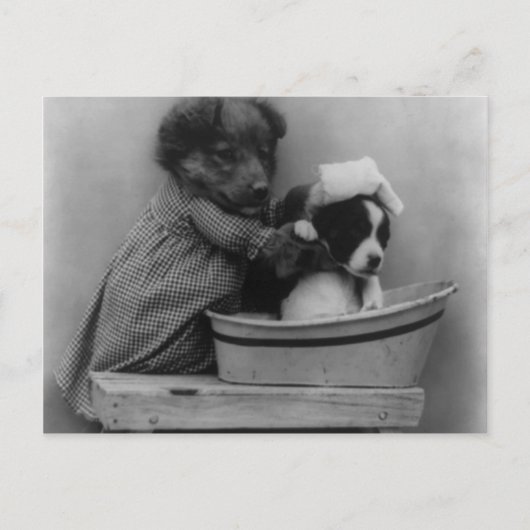 De weg briefkaart (Voorkant)