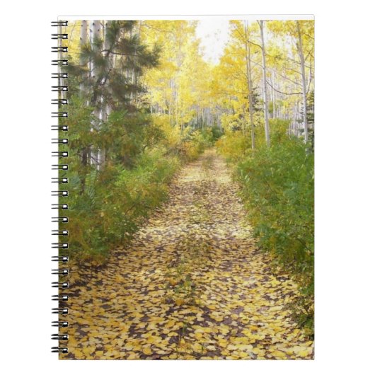 De weg die je achterlaat notitieboek (Voorkant)