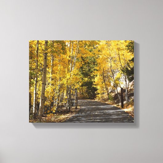 De Weg Gaat Door de Espen Canvas Afdruk (Voorkant)