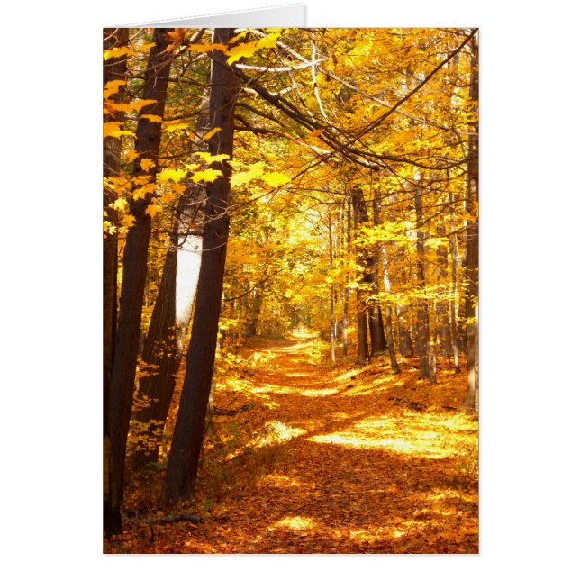 De weg is niet afgelegd (Voorkant)