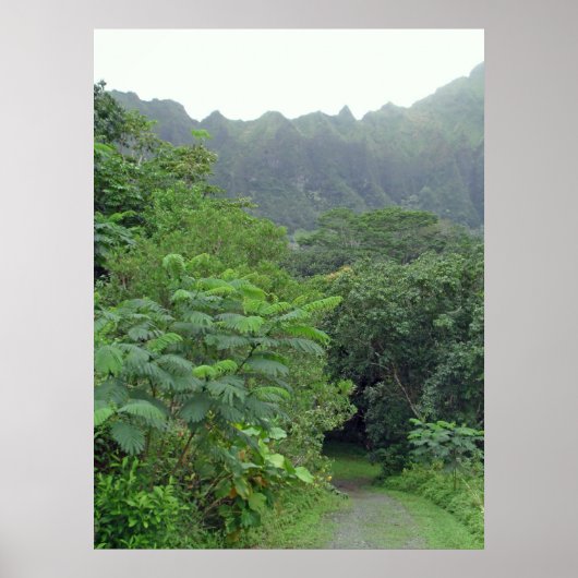 De weg is niet afgelegd poster (Voorkant)