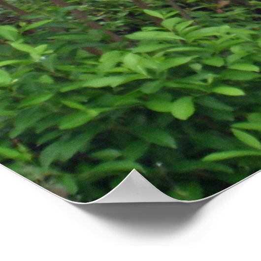 De weg is niet afgelegd poster (Hoek)