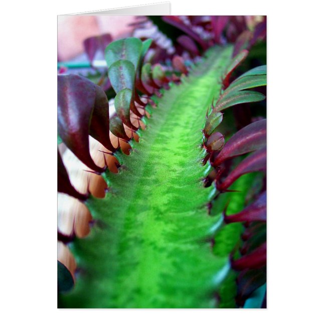 De weg minder gereisd (Voorkant)