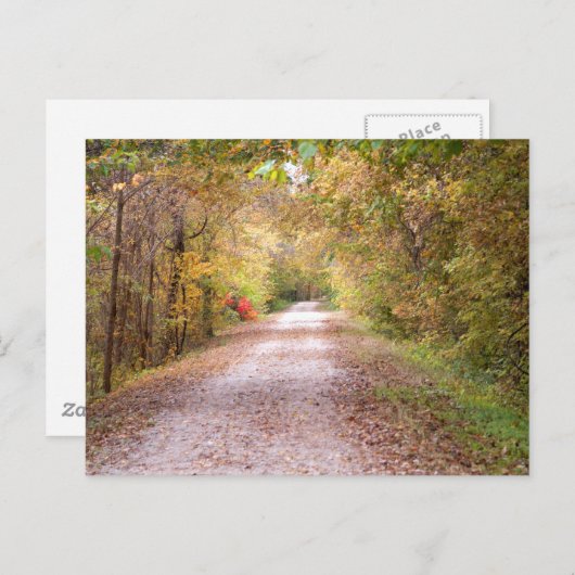 De weg minder gereisd briefkaart (Voorkant / Achterkant)