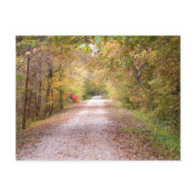 De weg minder gereisd