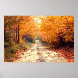 De weg minder gereisd poster