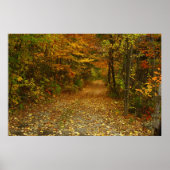 De weg minder gereisd poster (Voorkant)