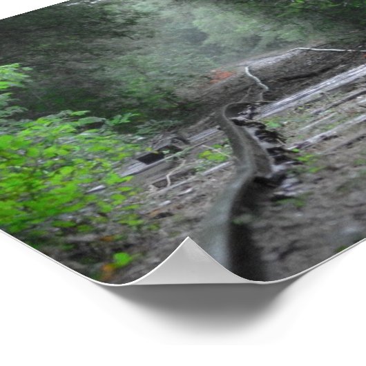 De weg minder gereisd poster (Hoek)