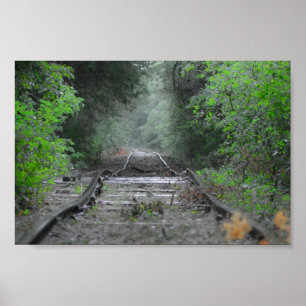 De weg minder gereisd poster