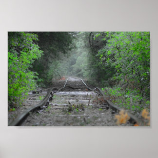 De weg minder gereisd poster