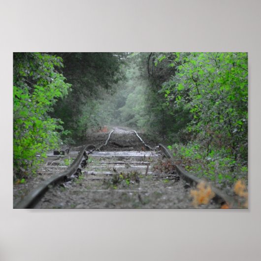 De weg minder gereisd poster (Voorkant)