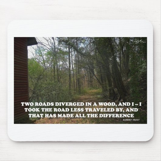 DE WEG MINDER VERVOERD MUISMAT (Voorkant)