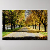 De weg naar de kleuren poster (Voorkant)