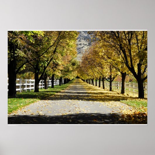 De weg naar de kleuren poster (Voorkant)