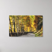 De weg naar herfst canvas print (Voorkant)