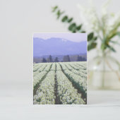 De weg naar het paradijs briefkaart (Staand voorkant)