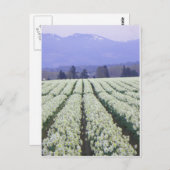 De weg naar het paradijs briefkaart (Voorkant / Achterkant)