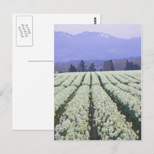 De weg naar het paradijs briefkaart (Voorkant / Achterkant)