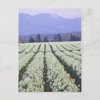 De weg naar het paradijs briefkaart