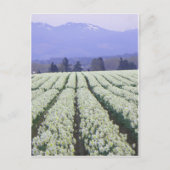 De weg naar het paradijs briefkaart (Voorkant)