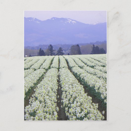 De weg naar het paradijs briefkaart (Voorkant)