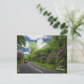 De weg naar Killarney - Ierland Briefkaart (Staand voorkant)