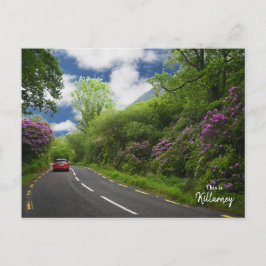 De weg naar Killarney - Ierland Briefkaart