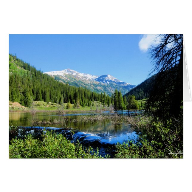 De weg naar onafhankelijkheid (Voorkant Horizontaal)