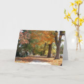 De Weg van de glorie Kaart (Gele Bloem)