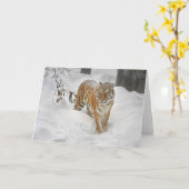 De Weg van de Sneeuw van de tijger Kaart (Gele Bloem)