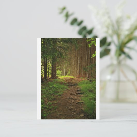 De Weg van de spar Briefkaart (Staand voorkant)