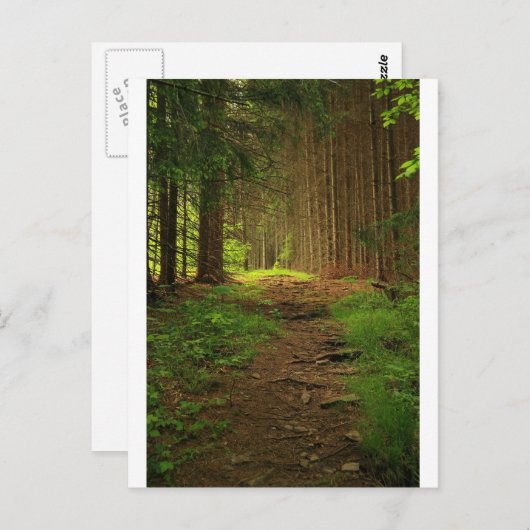 De Weg van de spar Briefkaart (Voorkant / Achterkant)