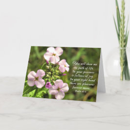 De weg van het leven - Kaart van de Schrift